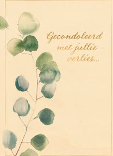 Gecondoleerd met jullie verlies