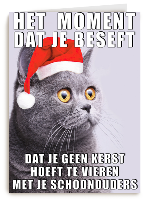 Kerstkaart Grappig Geen kerst met je schoonouders