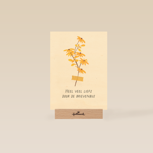 Bloemen heel veel liefs door de brievenbus