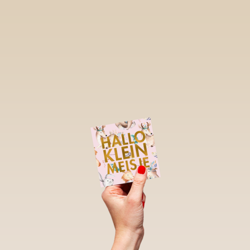 hallo lief klein meisje