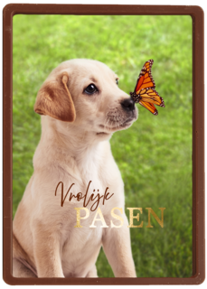 Pasen vrolijk hond vlinder