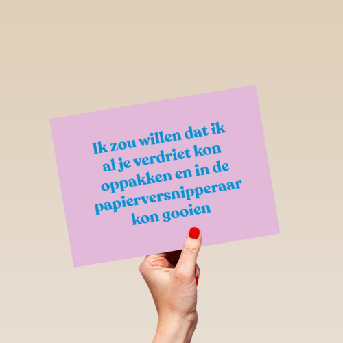Ik zou je verdriet willen oppakken