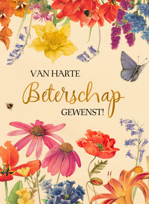 Houten Kaart Beterschapskaarten | Houten Kaart Hallmark | Beterschapskaarten | Beterschapskaart Van Harte Beterschap Gewenst