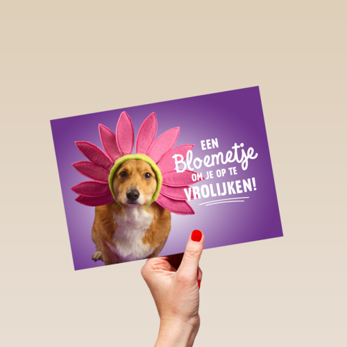 een bloemetje om je op te vrolijken