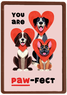 Folio You Are Pawfect