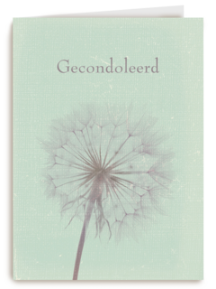 gecondoleerd paardenbloem