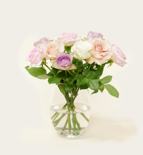 Brievenbusbloemen Rozen Pastel Crush