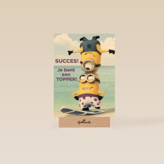 minions succes je bent een topper
