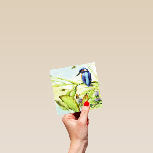 een prachtige ijsvogel