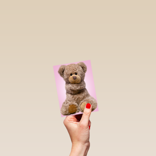 Chromazone Roze knuffelbeer