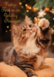 Prettige kerst en gelukkig nieuwjaar kat