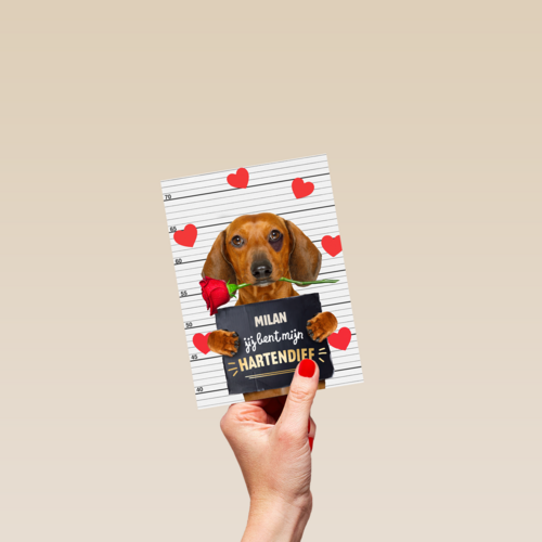 valentijn kaart hond jij bent mijn hartendief