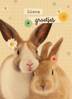 lieve groetjes kaart met konijnen en bloemetjes