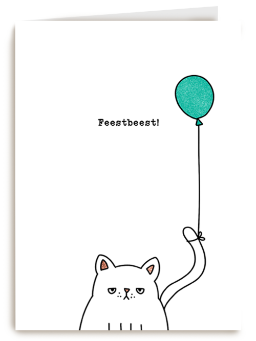 Verjaardagskaart Hallmark | Verjaardagskaart Kat Feestbeest