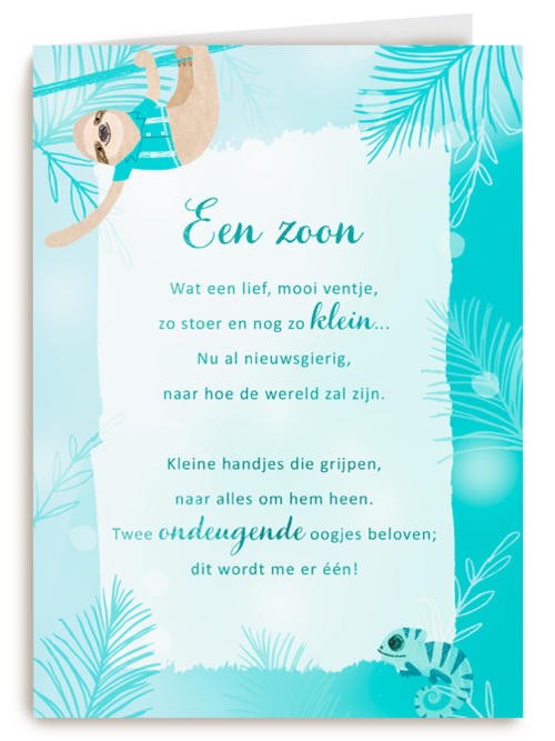 Babykaart zoon More than words