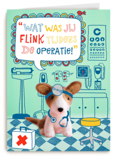 hond tijdens operatie