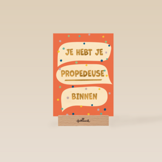 Je hebt je propedeuse binnen