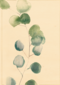 blanco condoleancekaart met plant