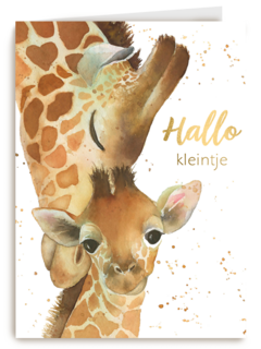 geboorte hallo kleintje giraffe