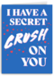 I have a secret crush on you