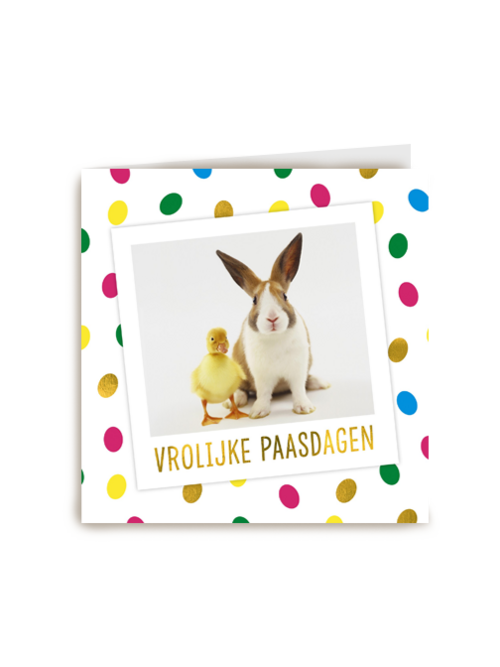 vrolijke paasdagen konijn eend