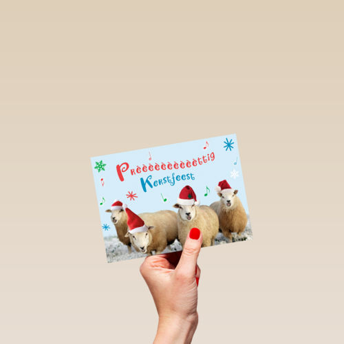 schapen prettig kerstfeest