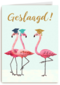 Flamingo geslaagd