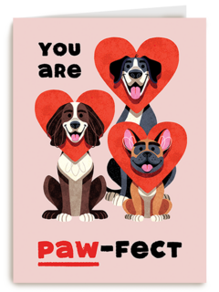 Folio You Are Pawfect