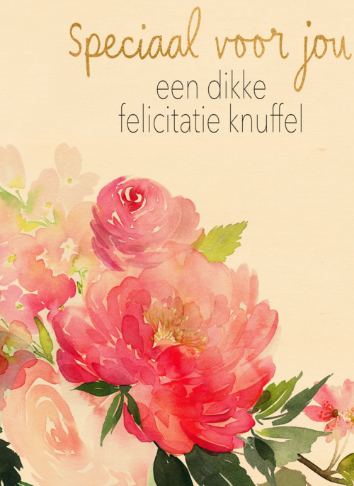 Gefeliciteerd kaart vrouw een dikke felicitatieknuffel