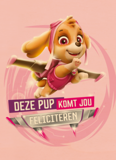 Paw Patrol deze pup komt jou feliciteren