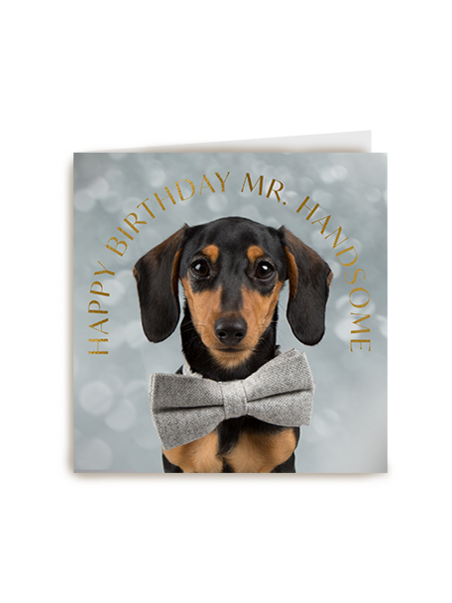 Happy birthday mr handsome