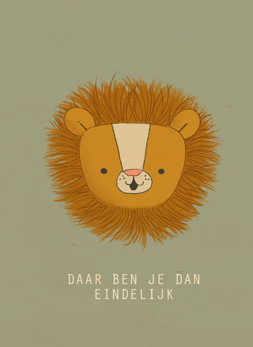 geboorte jongen daar ben je dan eindelijk