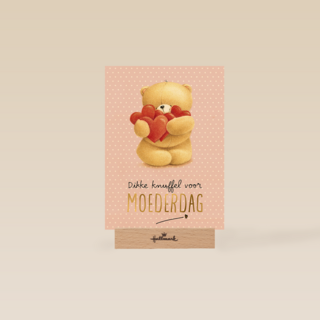 Forever Friends Moederdag Dikke Knuffel