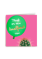 Cactus knalfeest
