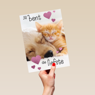 Valentijn Jij bent de liefste hond kat