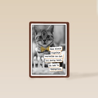 Vogel Poes  verjaardag