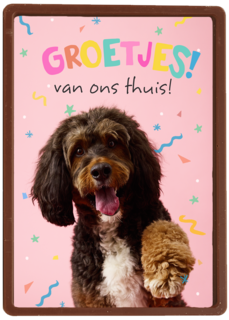Op Kamp groetjes van thuis hond roze