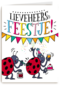 verjaardagskaart lieveheersfeestje