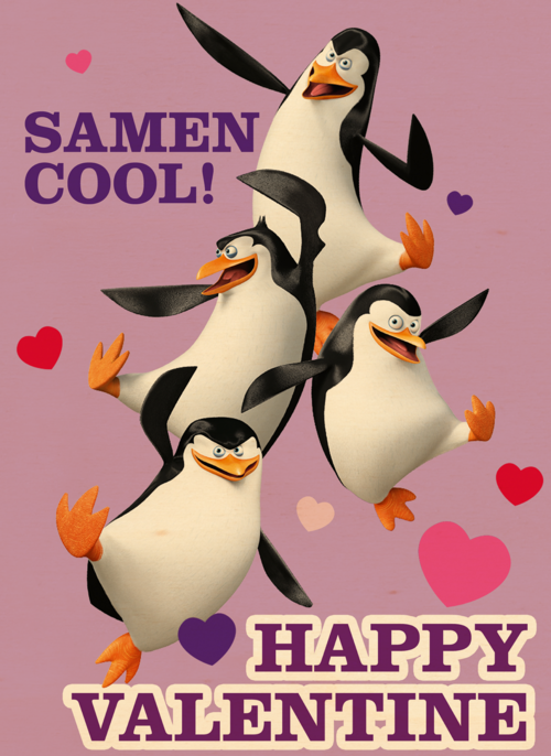 Penguins Samen Cool Valentijn