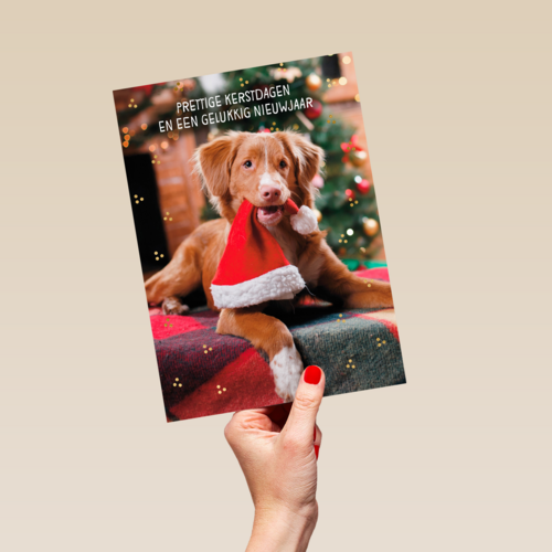 Kerstkaart klassiek Hond met kerstmuts