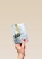 champagne edit