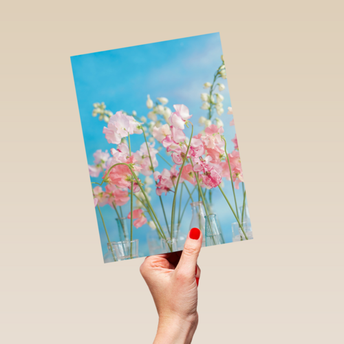 bloemen lucht