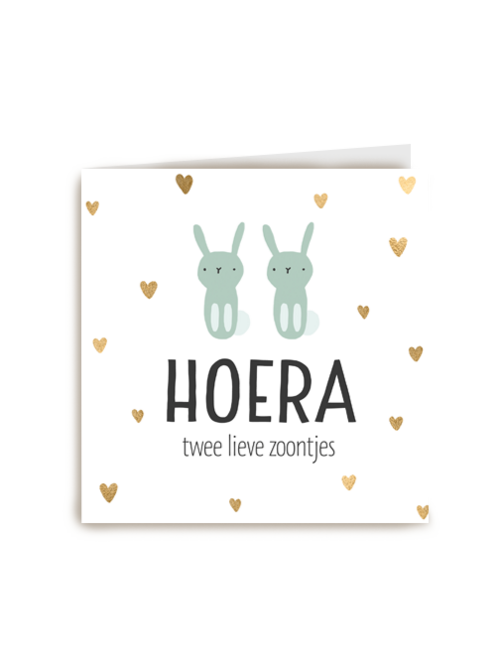geboorte meerling jongetjes hoera lieve zoontjes
