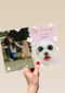 Op kamp heel veel plezier roze hond fotokaart