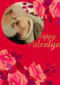 Happy Valentijn fotokaart