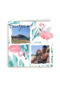fotokaart groetjes uit flamingos