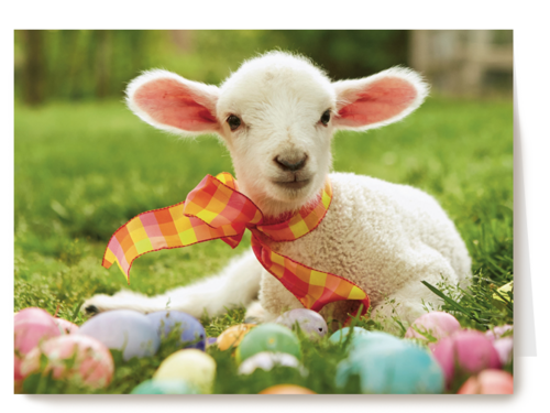 schattig lammetje met een sjaaltje en paaseitjes om zich heen