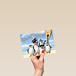 Op kamp yaai Penguins