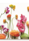 veldbloemen
