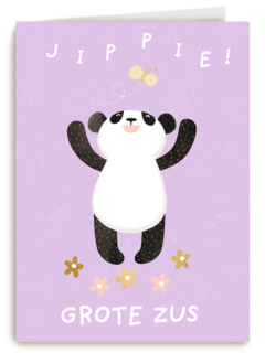 geboorte zusje jippie grote zus